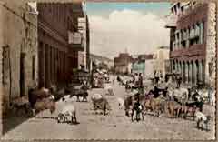 ���� ������ ��� ��� ����