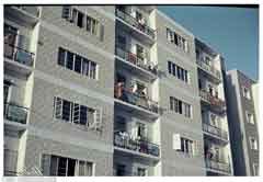 ���� ������ ��� ��� ����