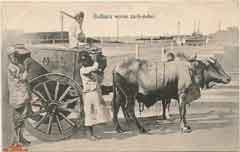 ���� ������ ��� ��� ����