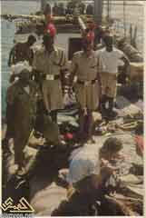 ���� ������ ��� ��� ����