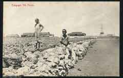 ���� ������ ��� ��� ����