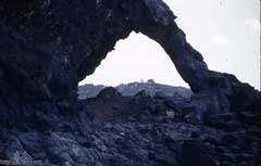 ���� ������ ��� ��� ����