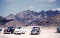 ���� ������ ��� ��� ����