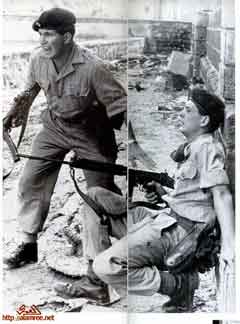 ���� ������ ��� ��� ����