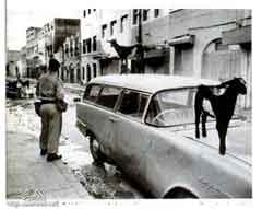 ���� ������ ��� ��� ����