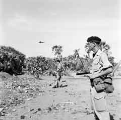 ���� ������ ��� ��� ����