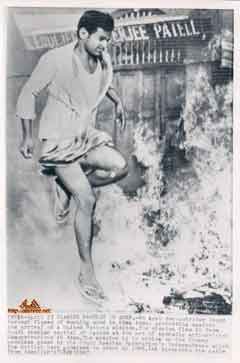 ���� ������ ��� ��� ����