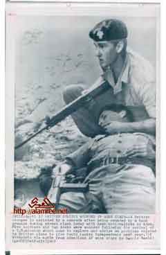 ���� ������ ��� ��� ����