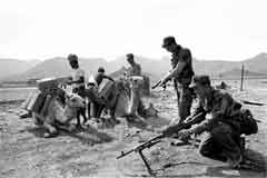 ���� ������ ��� ��� ����