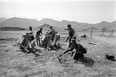 ���� ������ ��� ��� ����