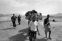 ���� ������ ��� ��� ����