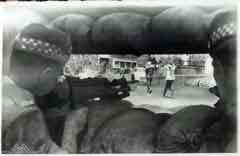 ���� ������ ��� ��� ����