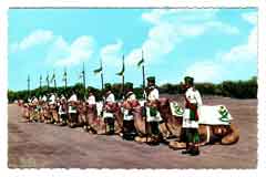 ���� ������ ��� ��� ����