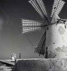 ���� ������ ��� ��� ����