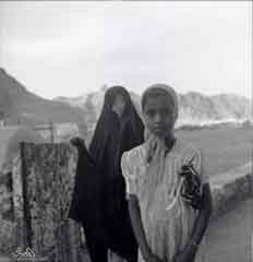 ���� ������ ��� ��� ����