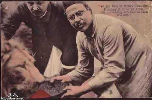 ���� ������ ��� ��� ����