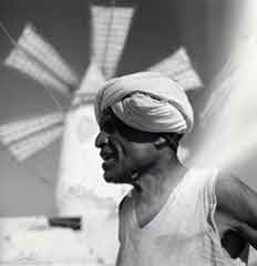 ���� ������ ��� ��� ����