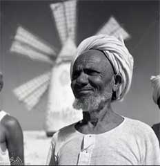 ���� ������ ��� ��� ����