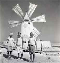 ���� ������ ��� ��� ����