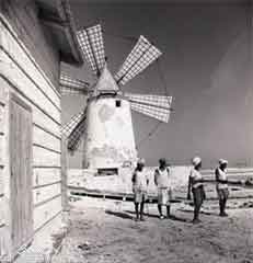 ���� ������ ��� ��� ����