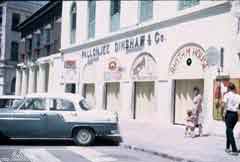 ���� ������ ��� ��� ����