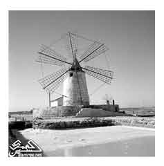 ���� ������ ��� ��� ����