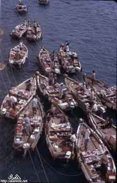 ���� ������ ��� ��� ����