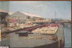 ���� ������ ��� ��� ����