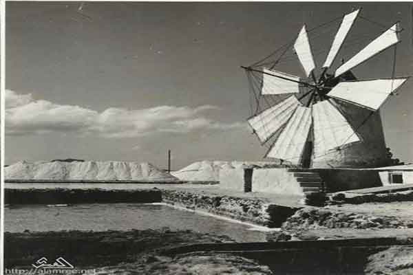 ���� ������ ��� ��� ����