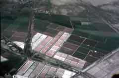 ���� ������ ��� ��� ����