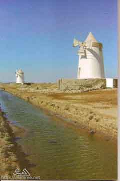 ���� ������ ��� ��� ����