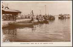 ���� ������ ��� ��� ����