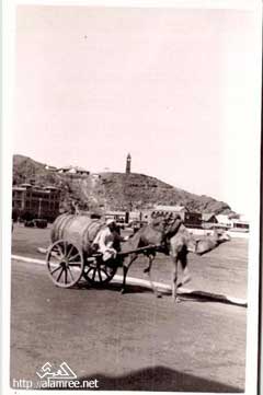 ���� ������ ��� ��� ����