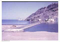 ���� ���� ������ �� ����� ��� 