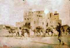 ���� ������ ��� ��� ����