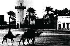 ���� ������ ��� ��� ����