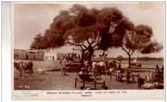 ���� ������ ��� ��� ����