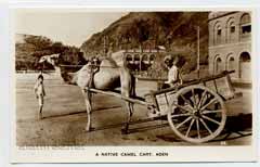 ����� ����� ��� �� ��� �� ���������