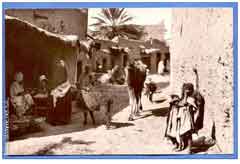 ���� ������ ��� ��� ����