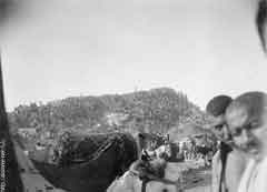 ���� ������ ��� ��� ����