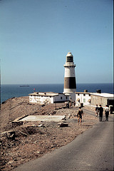 ���� ���� ��� 1962