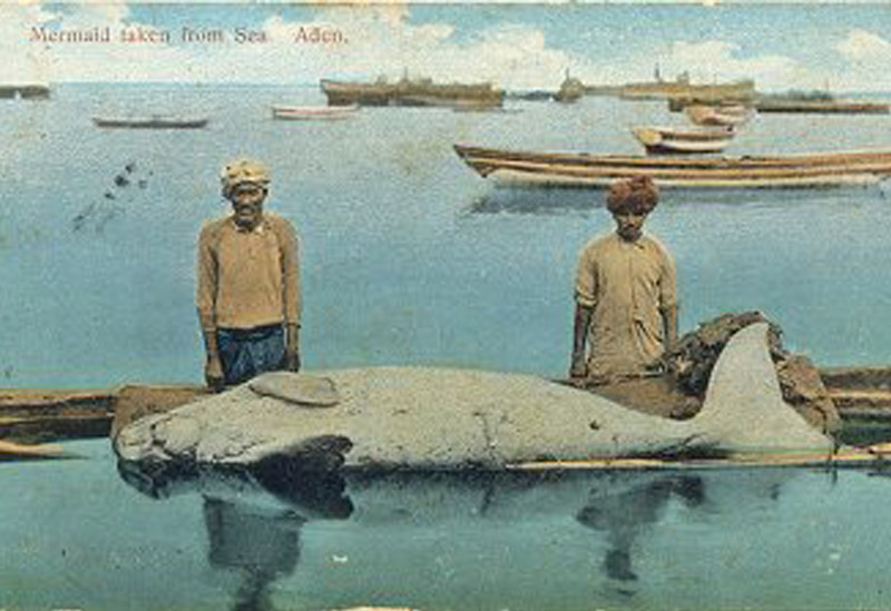 ���� ��� ������ ������ ��� ��� ����