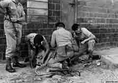 ��� ������ ����������� ���� ���� ���� ��� 1967