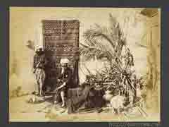 ��� ������� �� ������ ������ �� ��� ��� ����� ������ ��� 