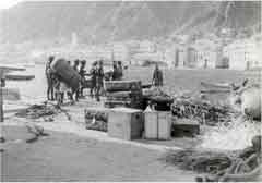 ������ ������ ����� ������� �� ������� �� ����� ����� ������