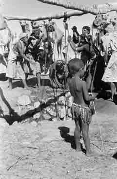 ���� ������ ��� ��� ����