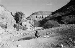 ���� ������ ��� ��� ����