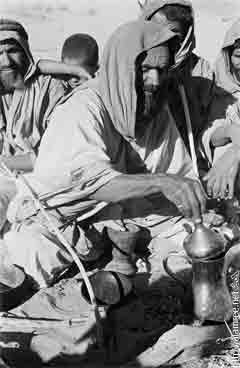 ���� ������ ��� ��� ����