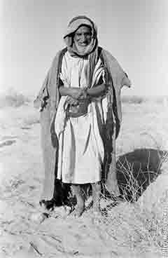 ���� ������ ��� ��� ����