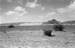 ���� ������ ��� ��� ����